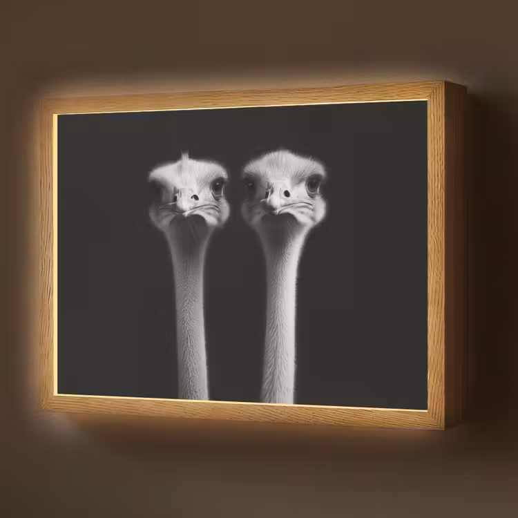 Struisvogels - Halzen - Zwart - Minimalistisch Light Box met batterij (Wandlamp) middel -z3d_website