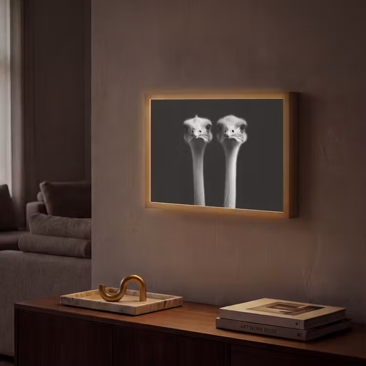 Struisvogels - Halzen - Zwart - Minimalistisch Light Box met batterij (Wandlamp) middel -sfeer1