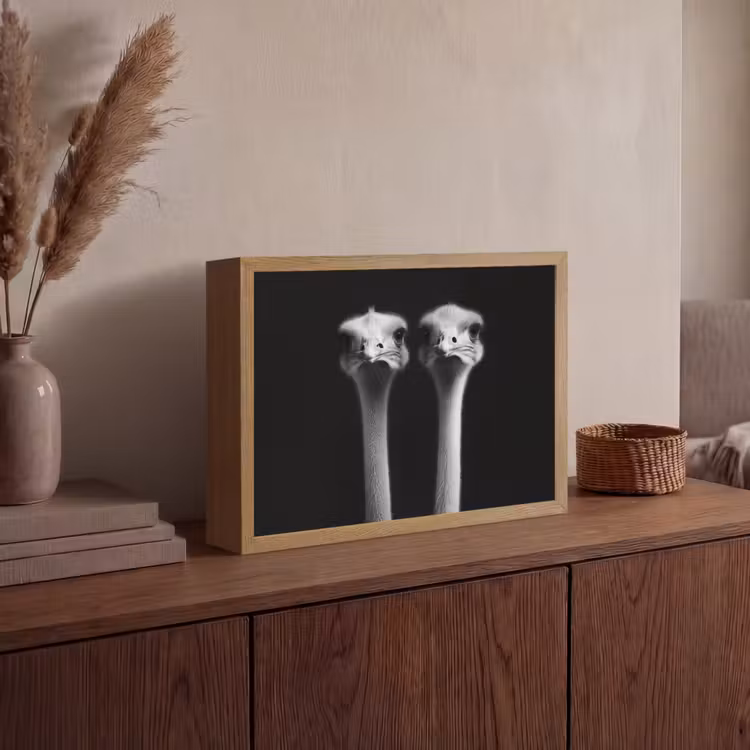 Struisvogels - Halzen - Zwart - Minimalistisch Light Box met batterij (Wandlamp) middel -sfeer2