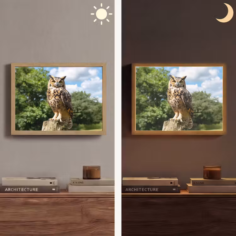 Uil - Boomstronk - Bos - Lucht Light Box met batterij (Wandlamp) middel -sfeer3