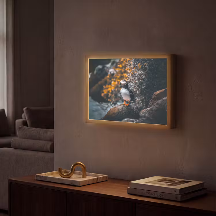 Papegaai - Vogel - Rots - Wit Light Box met batterij (Wandlamp) middel -sfeer1