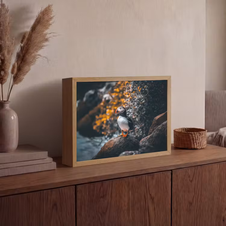 Papegaai - Vogel - Rots - Wit Light Box met batterij (Wandlamp) middel -sfeer2