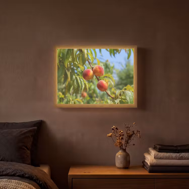 Perzik - Bladeren - Zonlicht Light Box met batterij (Wandlamp) middel -sfeer4
