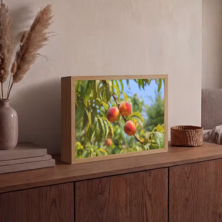 Perzik - Bladeren - Zonlicht Light Box met batterij (Wandlamp) middel -sfeer2