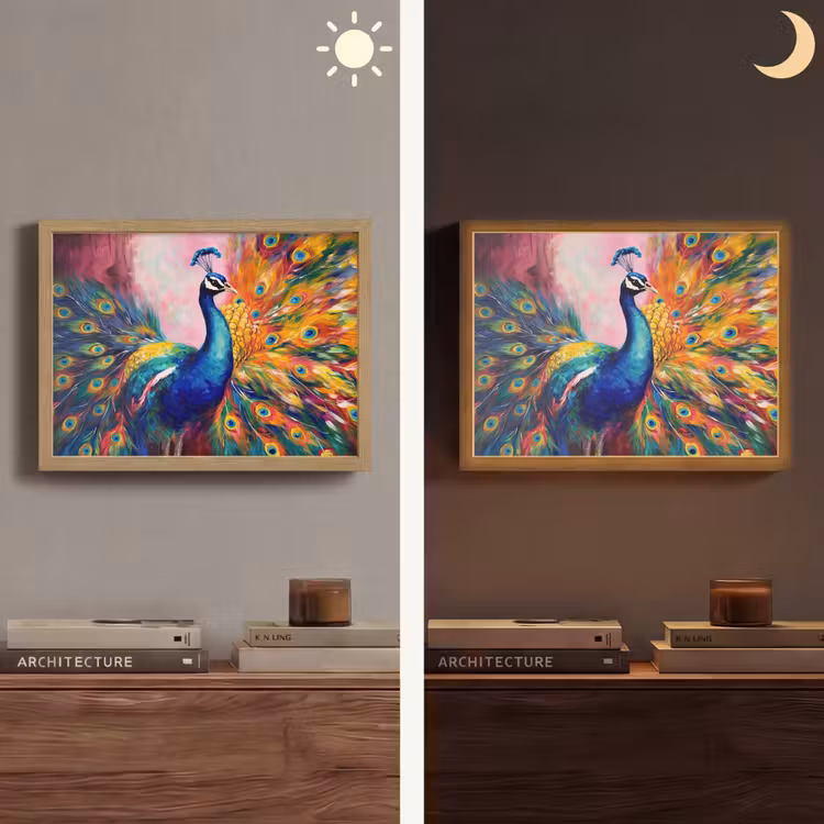 Pauw - Dieren - Schilderij - Regenboog Light Box met batterij (Wandlamp) middel -sfeer3