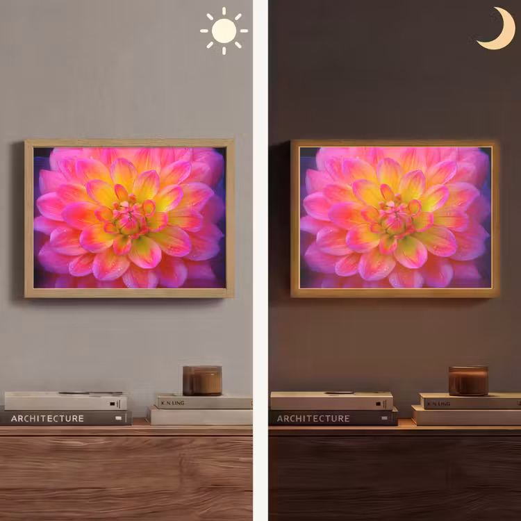 Roze - Dahlia - Kleurrijk Light Box met batterij (Wandlamp) middel -sfeer3