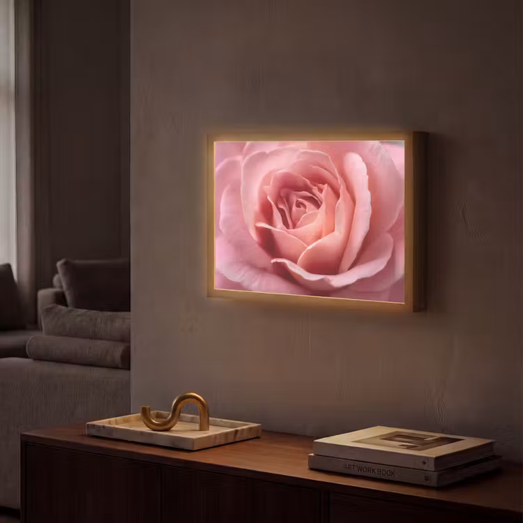 Roze - Roos - Romantisch Light Box met batterij (Wandlamp) middel -sfeer1