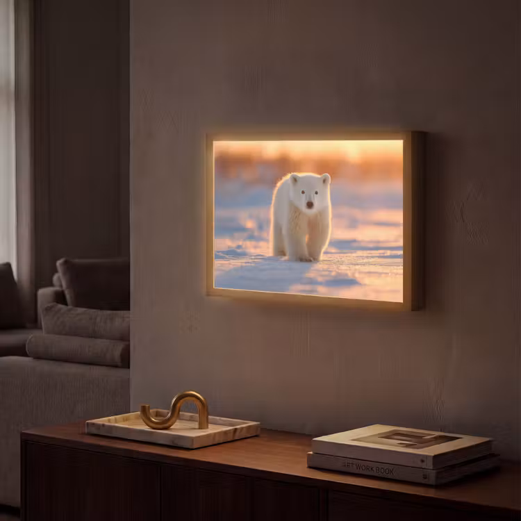 Ijsbeer - Sneeuw - Zonsopgang Light Box met batterij (Wandlamp) middel -sfeer1