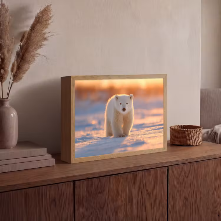 Ijsbeer - Sneeuw - Zonsopgang Light Box met batterij (Wandlamp) middel -sfeer2