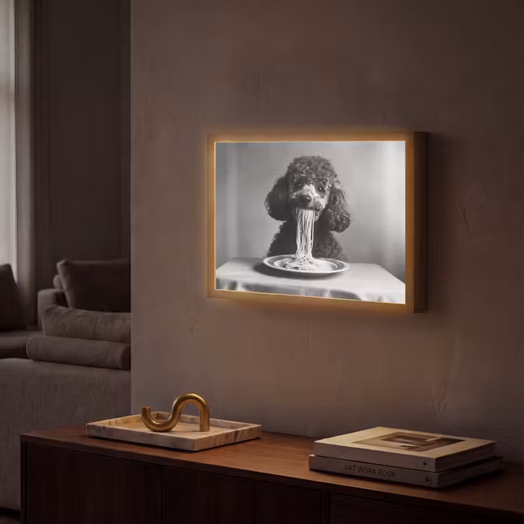 Poedel - Hond - Zwart - Wit - Schattig - Pasta Light Box met batterij (Wandlamp) middel -sfeer1