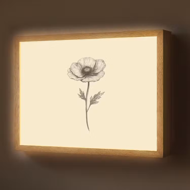Klaproos - Illustratie - Zwart Light Box met batterij (Wandlamp) middel -z3d_website