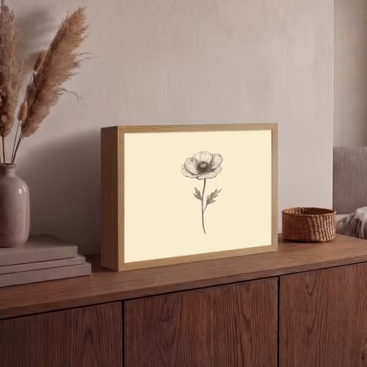 Klaproos - Illustratie - Zwart Light Box met batterij (Wandlamp) middel -sfeer2