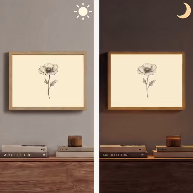 Klaproos - Illustratie - Zwart Light Box met batterij (Wandlamp) middel -sfeer3