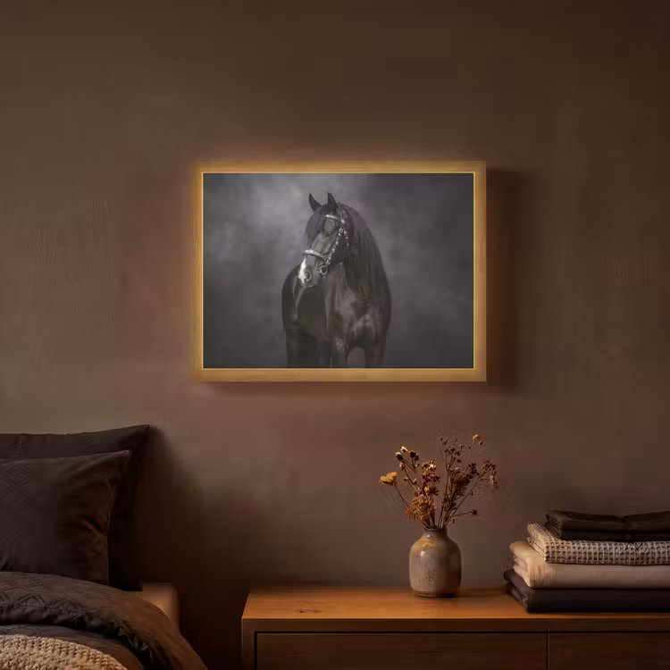 Portret - Paard - Zwart Light Box met batterij (Wandlamp) middel -sfeer4