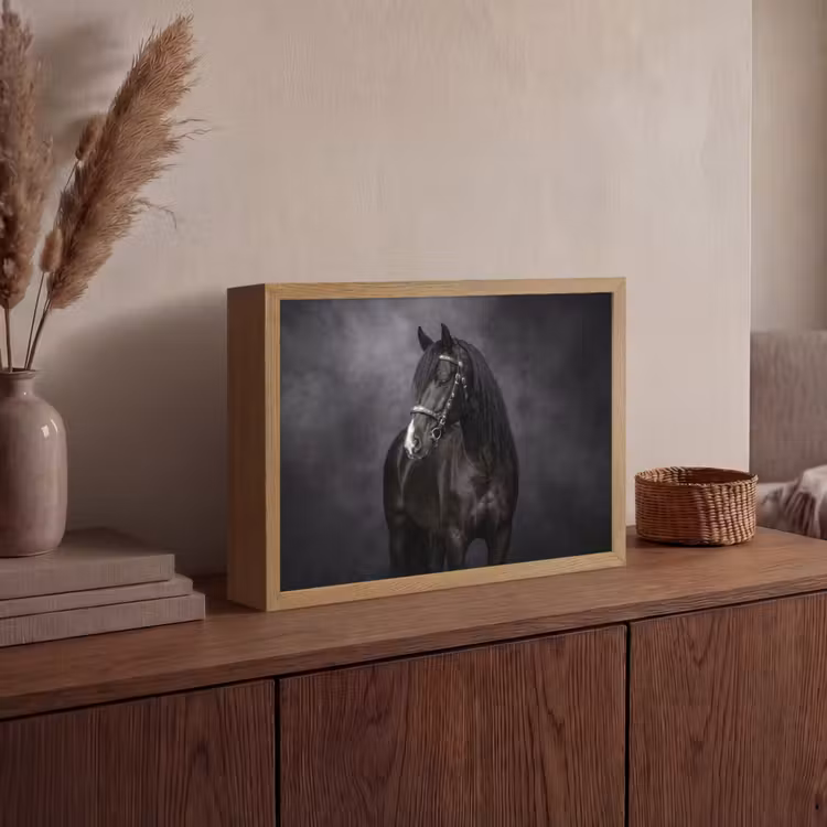 Portret - Paard - Zwart Light Box met batterij (Wandlamp) middel -sfeer2