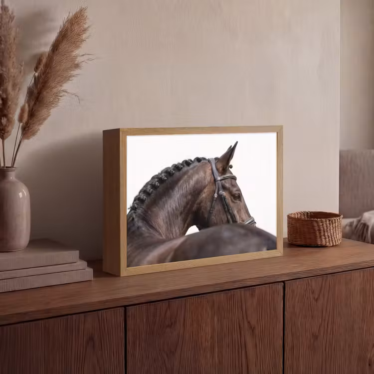 Portret - Paard - Elegant Light Box met batterij (Wandlamp) middel -sfeer2