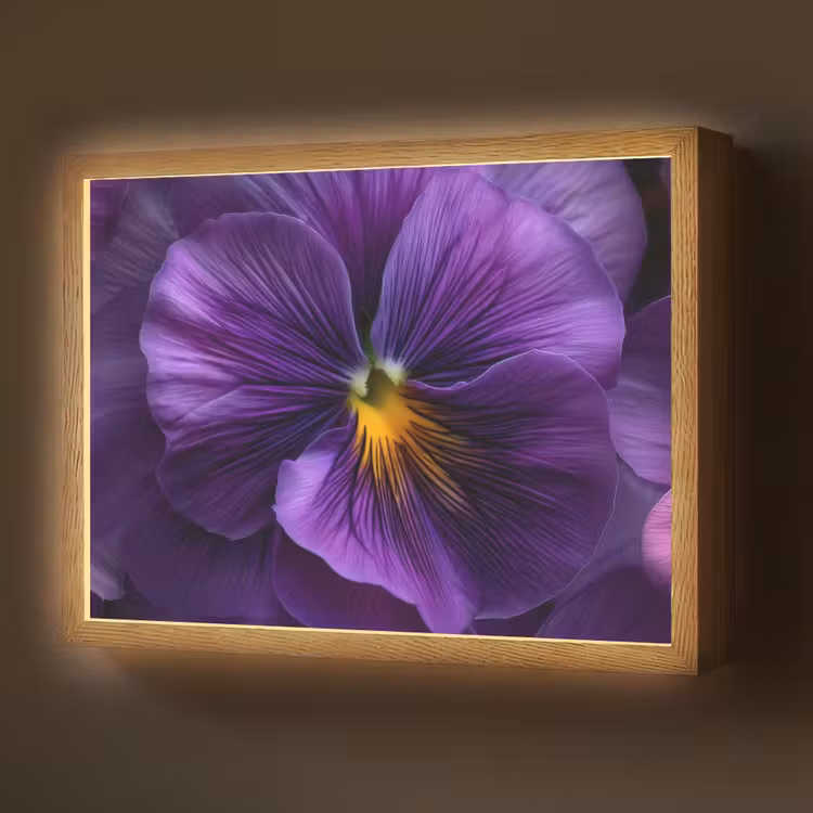 Paars - Viool - Diepte Light Box met batterij (Wandlamp) middel -z3d_website