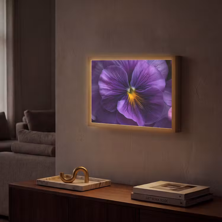 Paars - Viool - Diepte Light Box met batterij (Wandlamp) middel -sfeer1