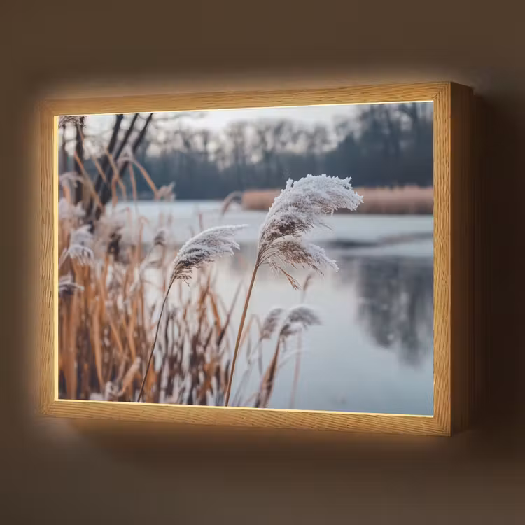 Riet - Gras - Natuur - Winter - Meer Light Box met batterij (Wandlamp) middel -z3d_website