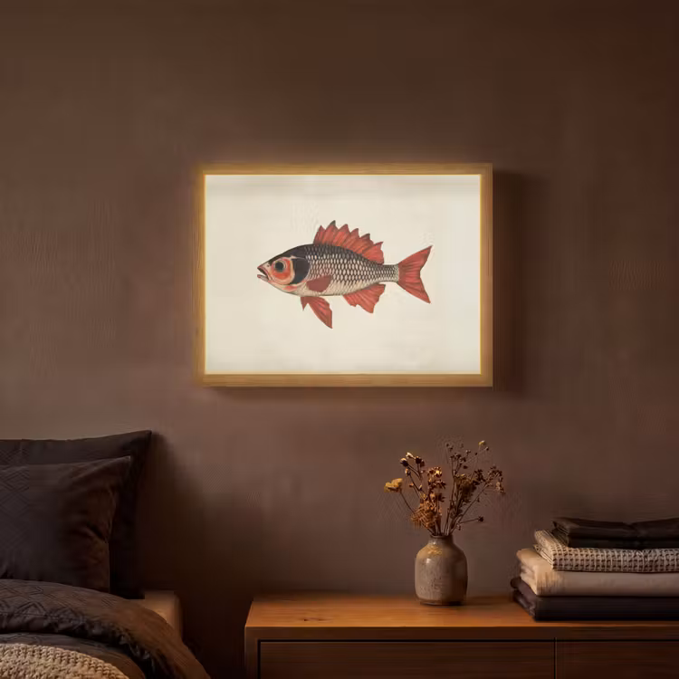 Schubben - Rood - Vis - Vinnen Light Box met batterij (Wandlamp) middel -sfeer4