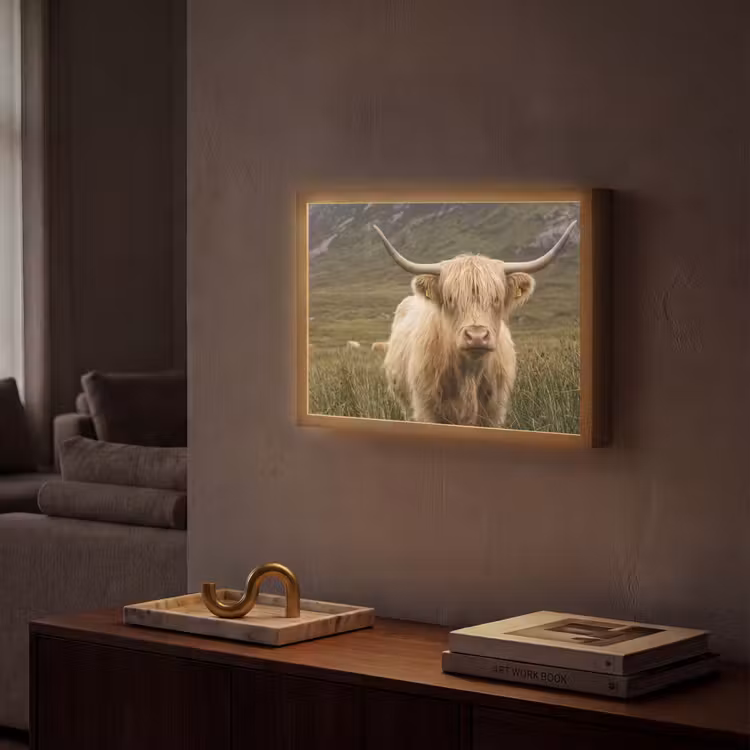 Schotse hooglander - Bergen - Grasveld Light Box met batterij (Wandlamp) middel -sfeer1
