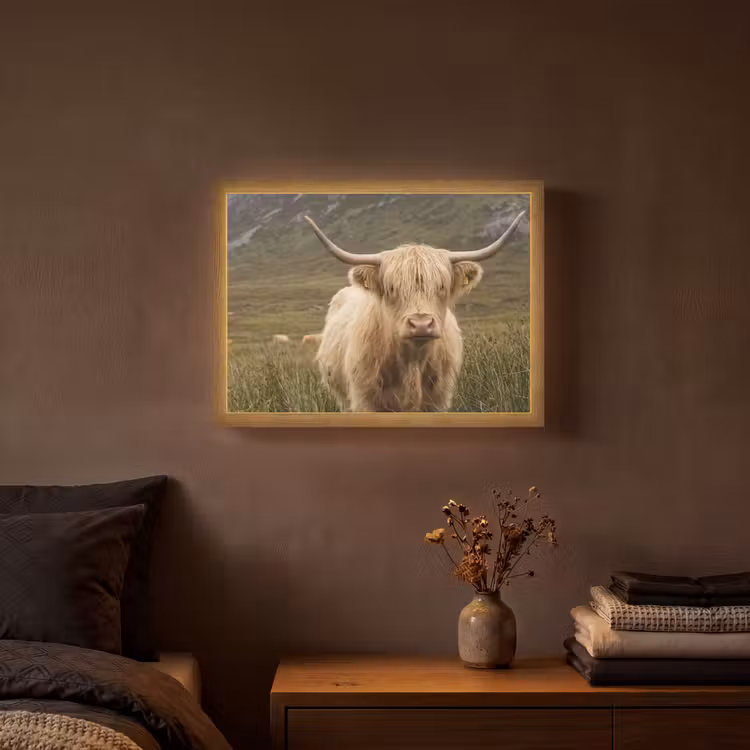 Schotse hooglander - Bergen - Grasveld Light Box met batterij (Wandlamp) middel -sfeer4