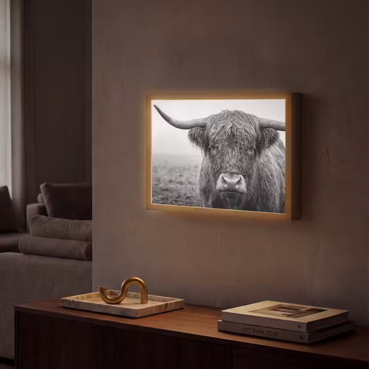 Schotse hooglander - Zwart - Wit - Gras Light Box met batterij (Wandlamp) middel -sfeer1