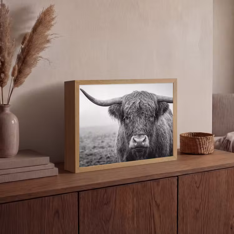 Schotse hooglander - Zwart - Wit - Gras Light Box met batterij (Wandlamp) middel -sfeer2