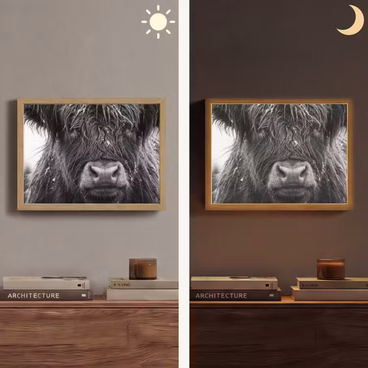Schotse hooglander - Zwart - Wit - Sneeuwvlokken Light Box met batterij (Wandlamp) middel -sfeer3
