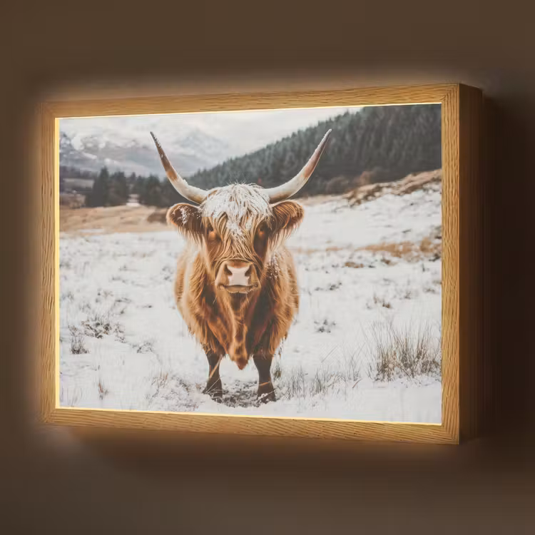 Schotse Hooglander - Landschap - Sneeuw - Bergen - Winter Light Box met batterij (Wandlamp) middel -z3d_website