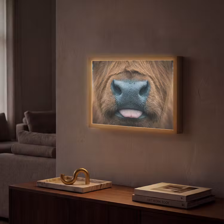 Schotse hooglander - Neus - Bruin Light Box met batterij (Wandlamp) middel -sfeer1