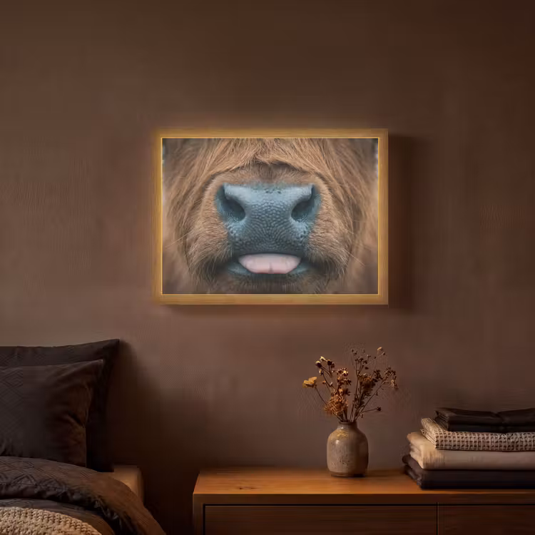 Schotse hooglander - Neus - Bruin Light Box met batterij (Wandlamp) middel -sfeer4