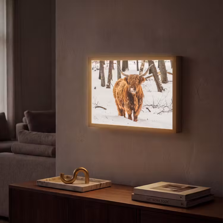 Schotse Hooglander - Sneeuw - Winter - Natuur - Dieren Light Box met batterij (Wandlamp) middel -sfeer1