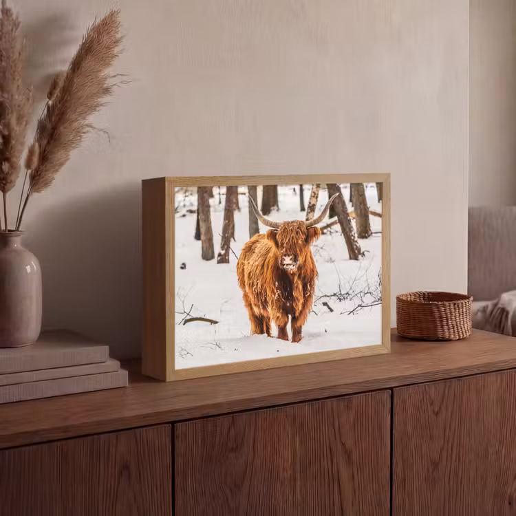 Schotse Hooglander - Sneeuw - Winter - Natuur - Dieren Light Box met batterij (Wandlamp) middel -sfeer2