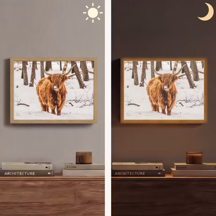 Schotse Hooglander - Sneeuw - Winter - Natuur - Dieren Light Box met batterij (Wandlamp) middel -sfeer3
