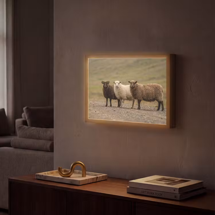 Schapen - Bruin - Wit - Grindpad Light Box met batterij (Wandlamp) middel -sfeer1