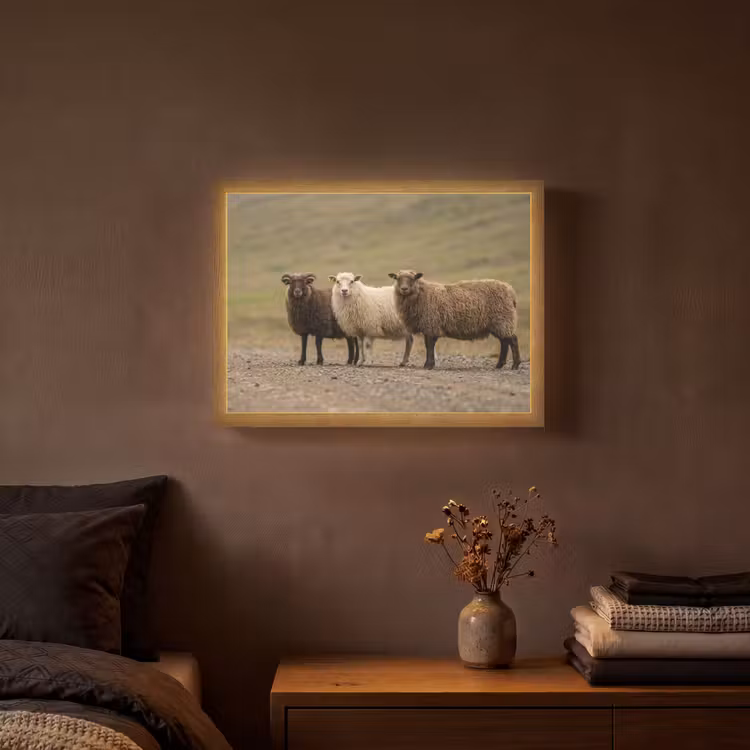 Schapen - Bruin - Wit - Grindpad Light Box met batterij (Wandlamp) middel -sfeer4