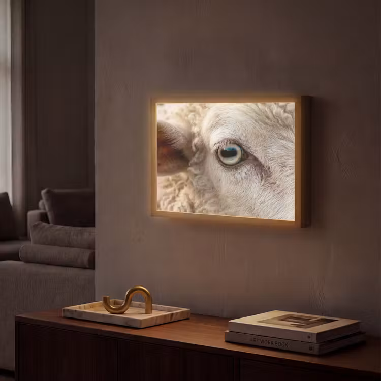 Schaap - Oog - Wit Light Box met batterij (Wandlamp) middel -sfeer1