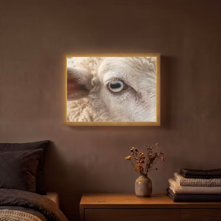 Schaap - Oog - Wit Light Box met batterij (Wandlamp) middel -sfeer4