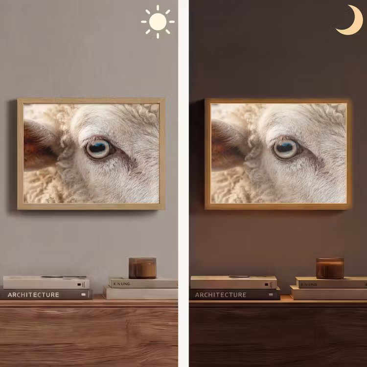 Schaap - Oog - Wit Light Box met batterij (Wandlamp) middel -sfeer3