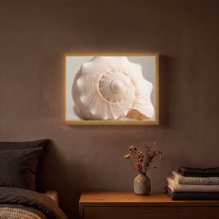 Schelp - Detail - Beige Light Box met batterij (Wandlamp) middel -sfeer4