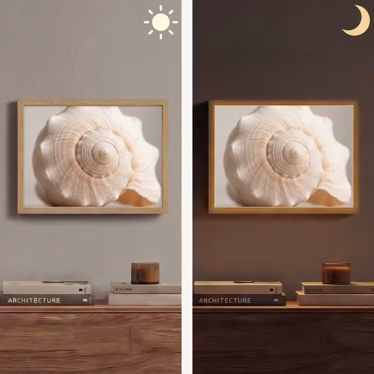 Schelp - Detail - Beige Light Box met batterij (Wandlamp) middel -sfeer3