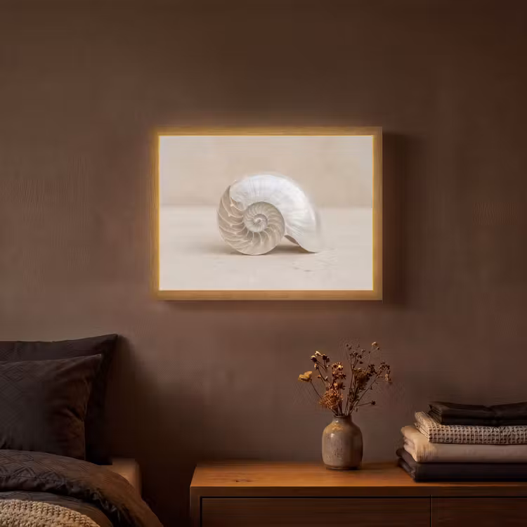 Schelp - Spiraal - Beige Light Box met batterij (Wandlamp) middel -sfeer4