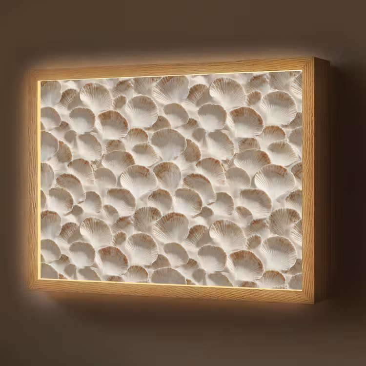 Schelpen - Waaiervorm - Wit Light Box met batterij (Wandlamp) middel 907 -z3d_website
