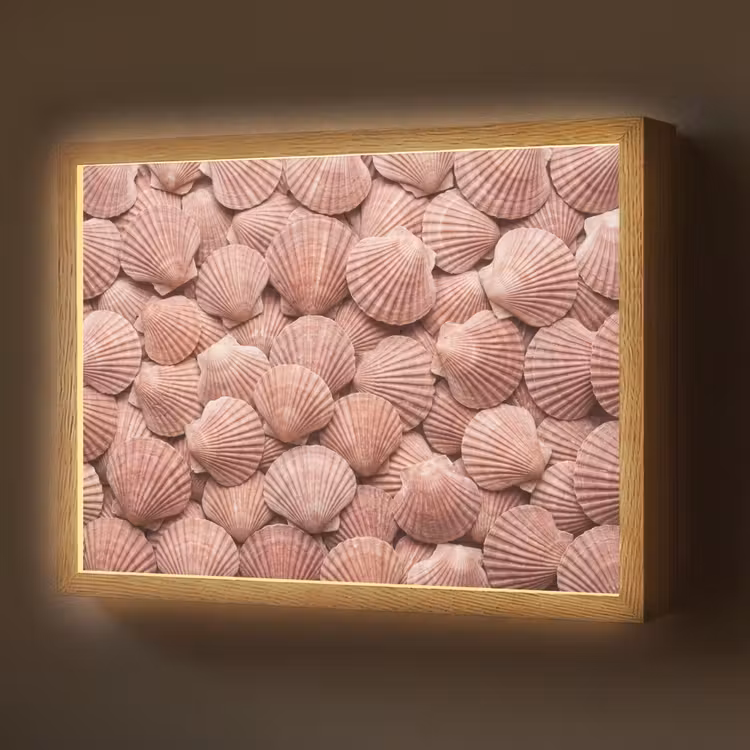 Schelpen - Patroon - Roze Light Box met batterij (Wandlamp) middel -z3d_website
