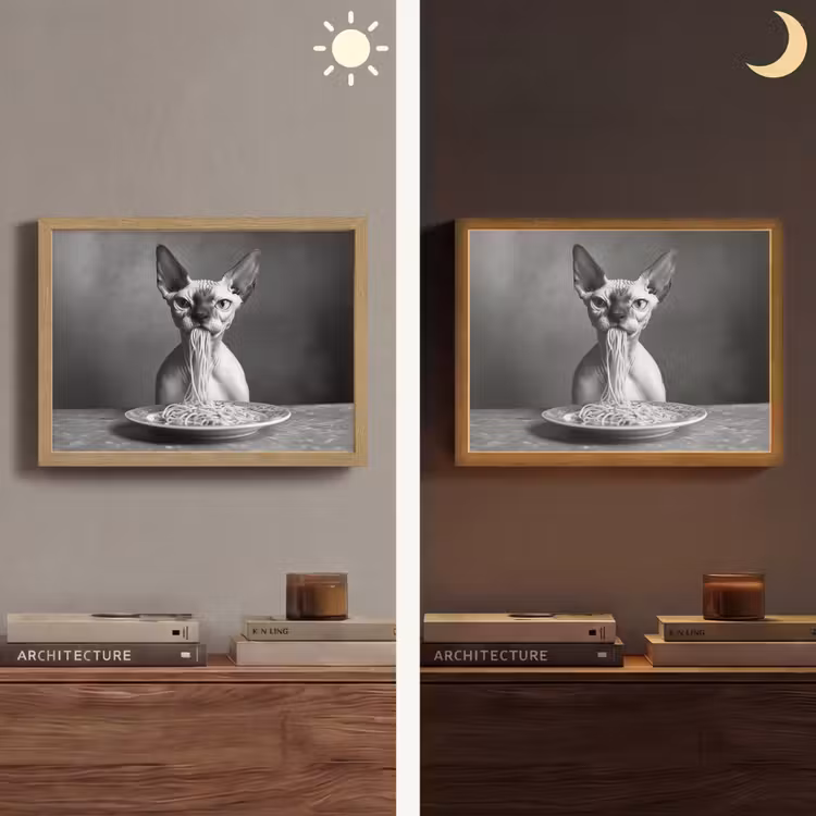Sphynx - Kat - Dieren - Humor - Spaghetti - Zwart Wit Light Box met batterij (Wandlamp) middel -sfeer3