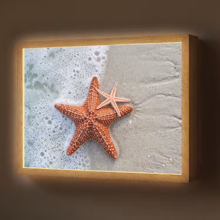 Zeester - Strand - Zee Light Box met batterij (Wandlamp) middel -z3d_website