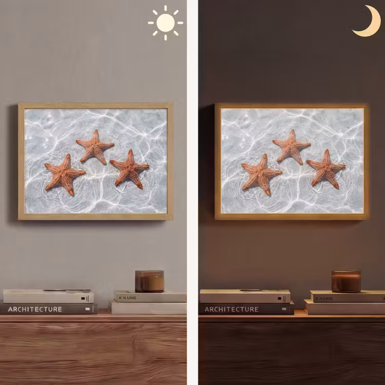 Zeesterren - Water - Helder Light Box met batterij (Wandlamp) middel -sfeer3