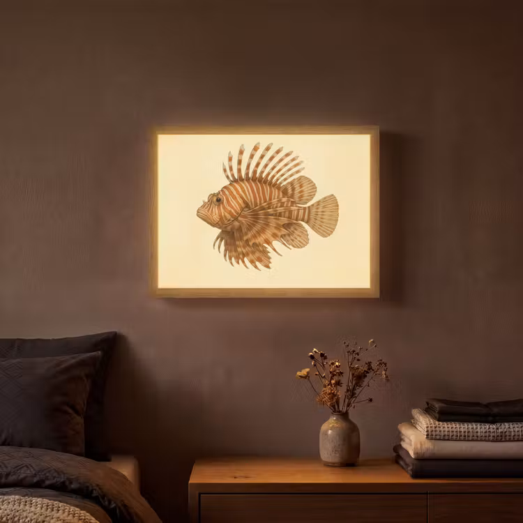 Strepen - Vis - Rond - Stekels Light Box met batterij (Wandlamp) middel -sfeer4