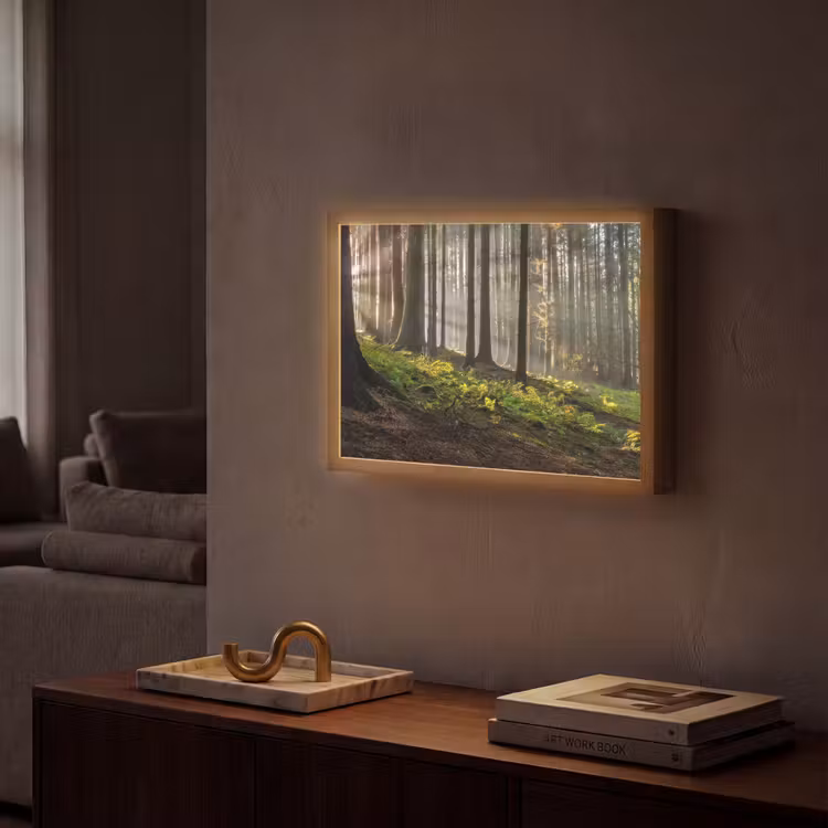 Zon - Takken - Bomen - Bos - Natuur Light Box met batterij (Wandlamp) middel -sfeer1